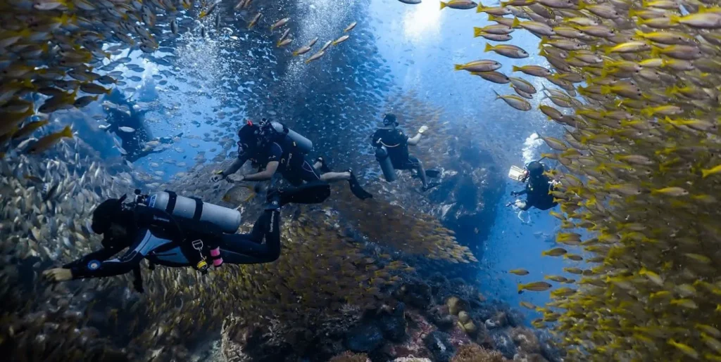 2. Big Blue Diving. scuba diving koh tao