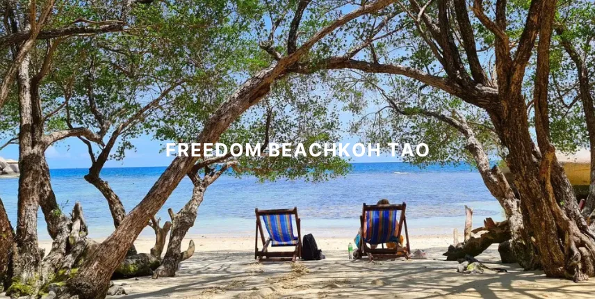 Freedom Beach Koh Tao Cover 001
