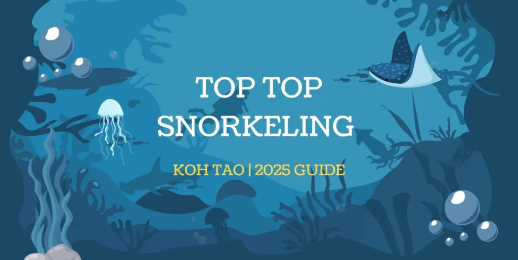 Top snorkelling in Koh Tao