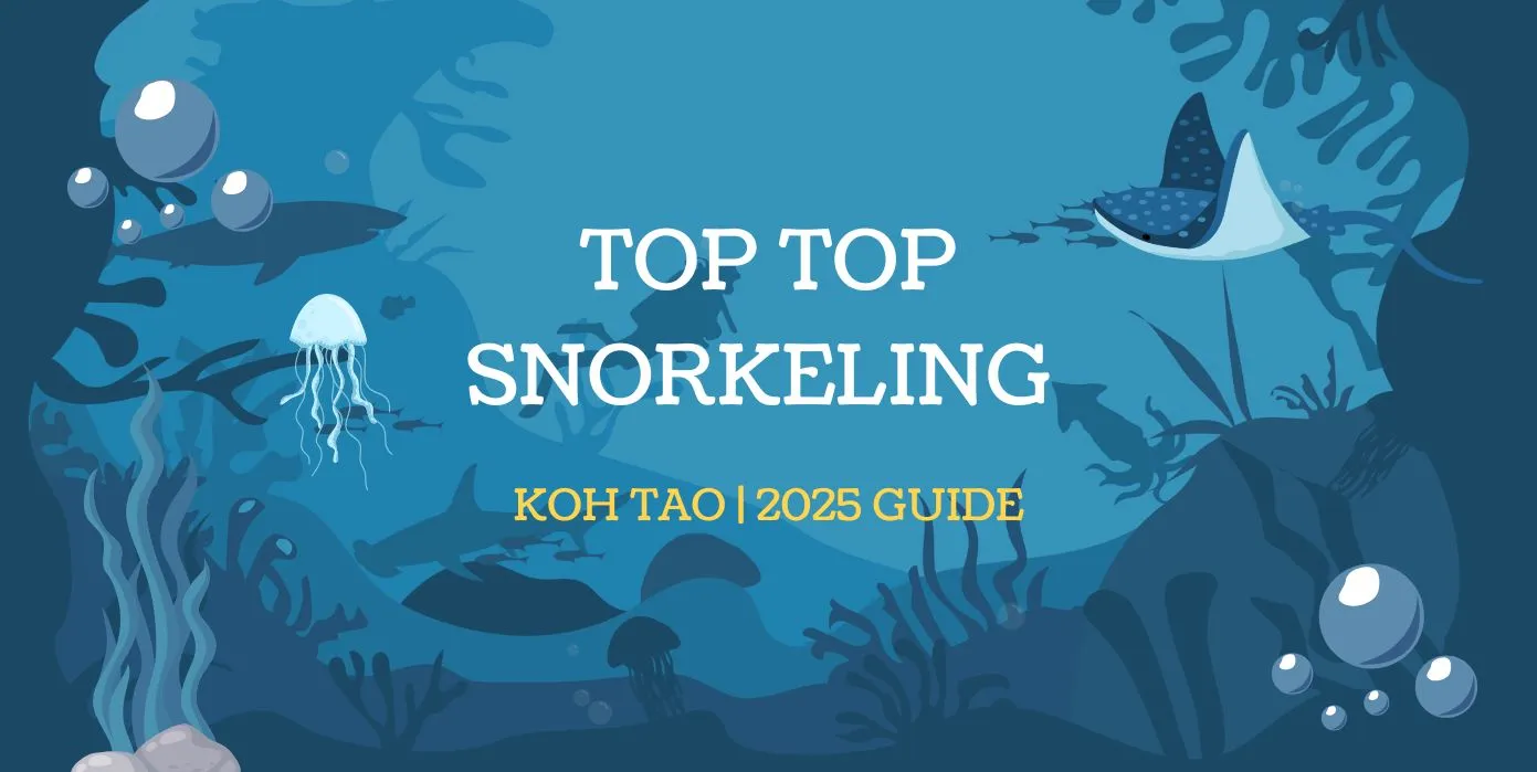 Top snorkelling in Koh Tao